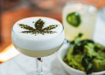 大麻市場正火熱，要如何投資大麻股票？揭秘被低估的大麻公司股票！