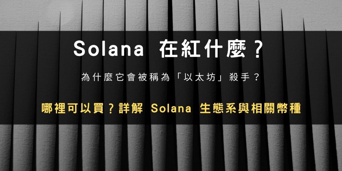 SOL 紅什麼？哪裡可以買？詳解 Solana 生態系與相關幣種