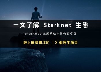 一文了解 Starknet 生態中值得關注的 10 個原生項目