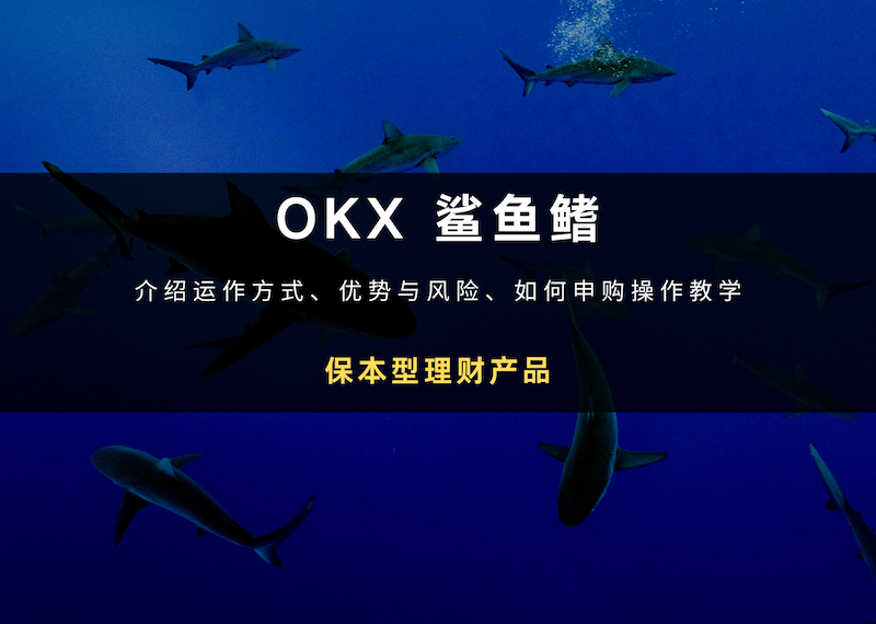 OKX 鲨鱼鳍：介绍运作方式、优势与风险、如何申购操作教学