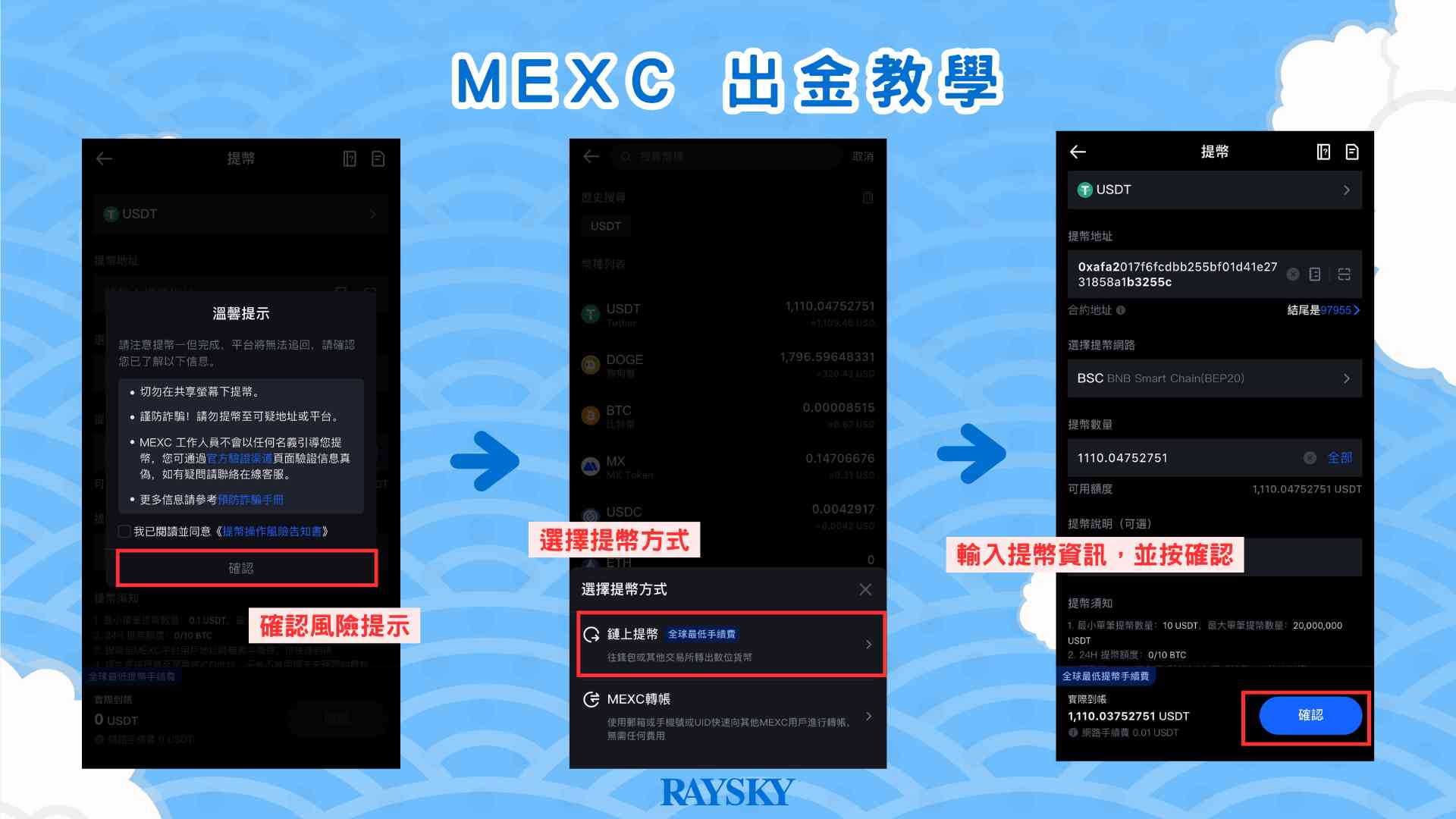 第三步：貼上地址並選擇鏈別