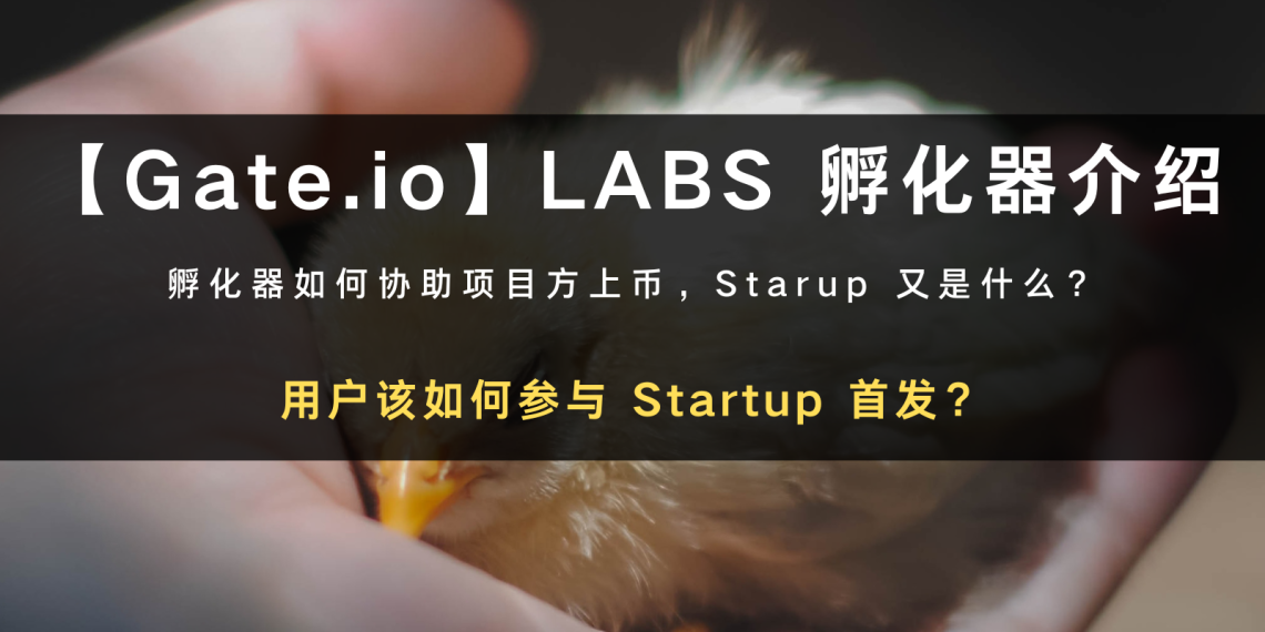 Gate.io LABS 孵化器和Startup 首发空投币领取教学