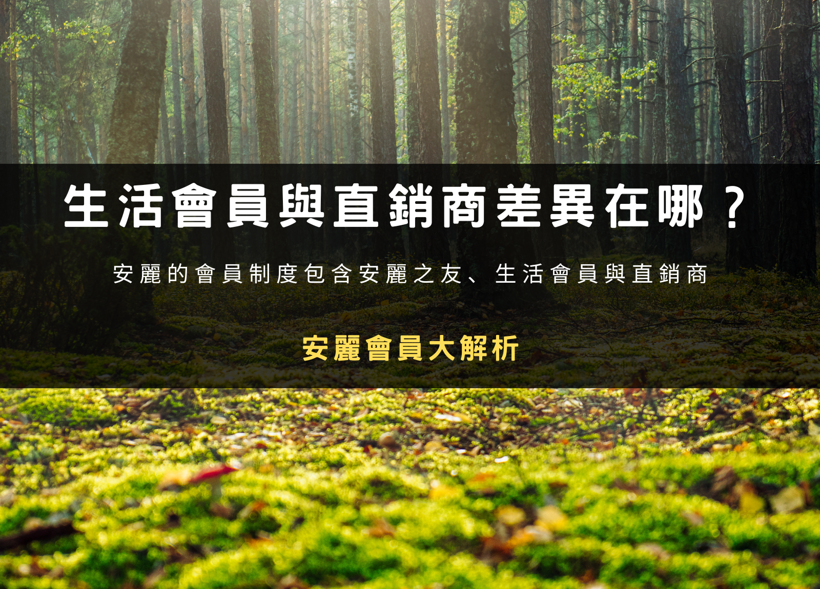 安麗生活會員與直銷商差異