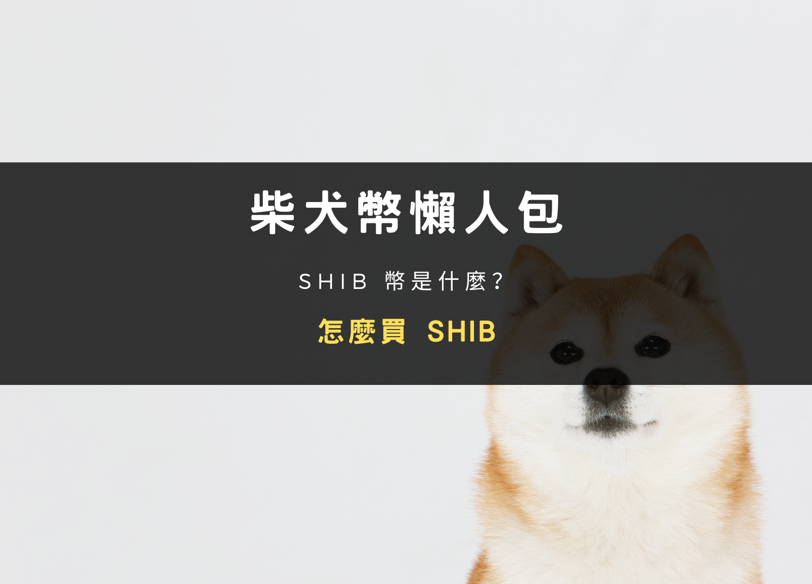 文章封面：柴犬幣懶人包｜ SHIB 幣是什麼？在幣安怎麼買？